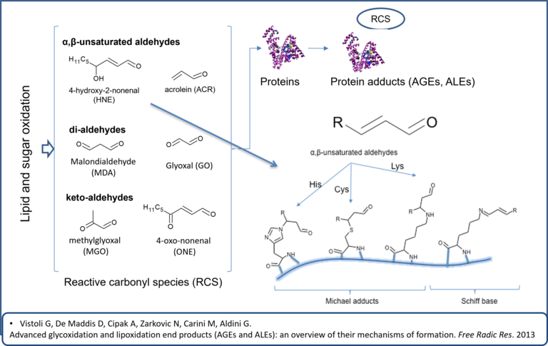 RAS carbonyls